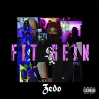 Fit Sein - Single - Zedo