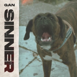 Sinner GAN