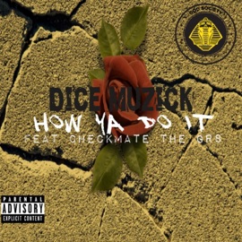 How Ya Do It (feat. Checkmate the Gr8) Dice Muzick