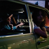 Senkié (feat. Dárdai Blanka) [Peter Floman Remix] artwork
