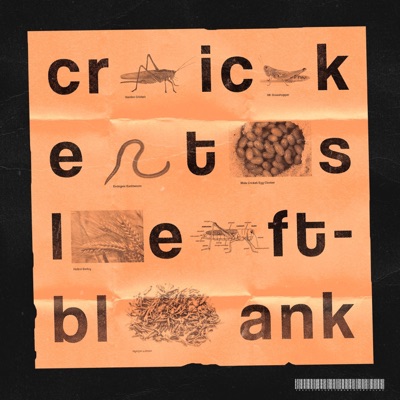 Crickets - Single