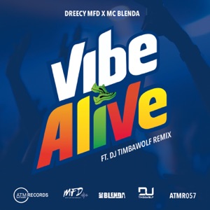 Vibe Alive - Single