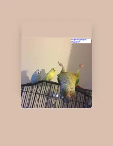 Escucha a Буфет Радиофак, mira videos musicales, lee su biografía, consulta las fechas de las gira y más.