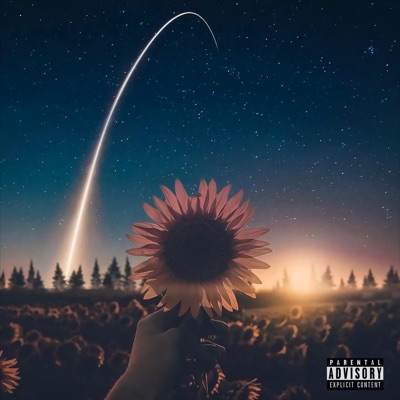 Misunderstood - EP