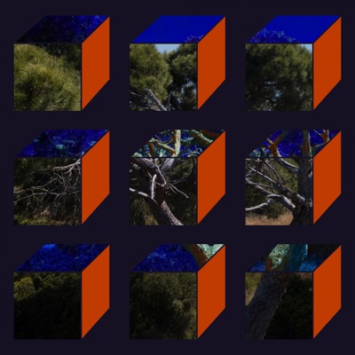 At Night (Naz Remix) - Single