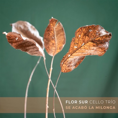 Se acabó la milonga - Single