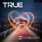 True - Eric C. Powell lyrics