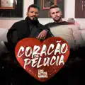 Coração de Pelúcia
