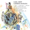 Carmina Burana: No. 12, In Taberna, "Olim lacus colueram" - Anima Eterna Brugge, Collegium Vocale Gent, Cantate Domino, Jos van Immerseel & Yves Saelens