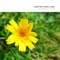Tomorrow Will Be Brighter - Lee Jeong Hwan lyrics