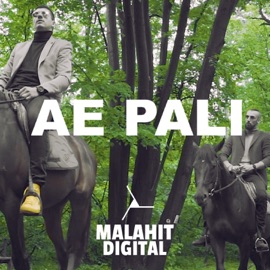 Ae Pali (feat. Mike Ride) Djexon
