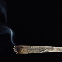 Weed Appreciation - Single - Twistello