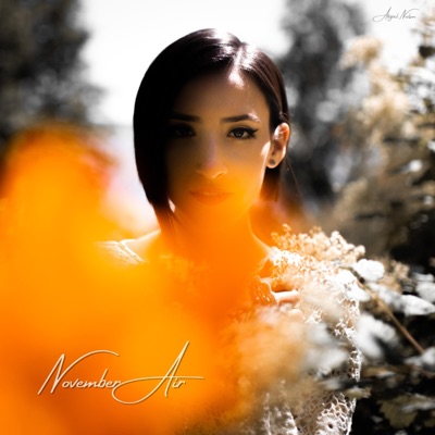 November Air - Single