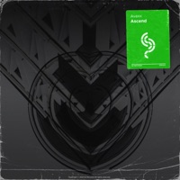 Ascend - Single - Avaxx