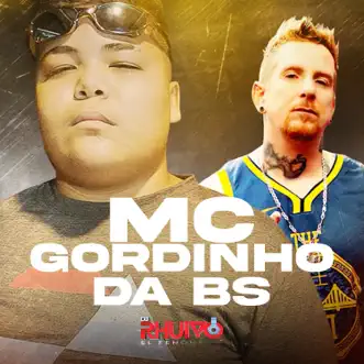 Apaixonado Pela Donzela - Single by Dj Rhuivo & Mc Gordinho da BS album reviews, ratings, credits