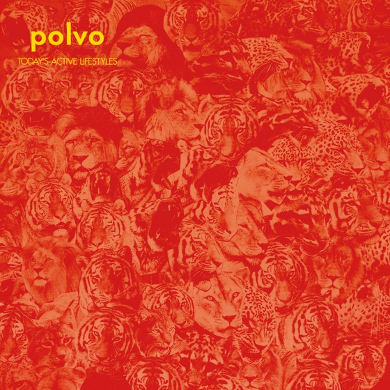 Cover artwork for Sure Shot
