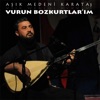 Vurun Bozkurtlarım - Single