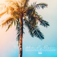 White Boy Summer - Single - Mikkel