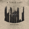 Out of the Fence - A Tergo Lupi