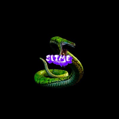 Slime (feat. LouieKillz & Coto) - Single