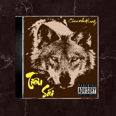 Tiêu Sái - Single
