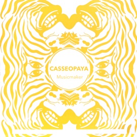 Musicmaker (Postman Mix) Casseopaya