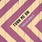 Turn Me On (feat. Kreyol La) artwork