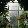 Magical Rainforest