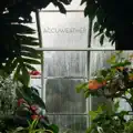 Magical Rainforest