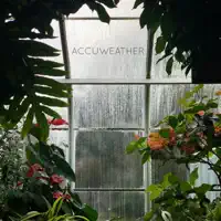 Magical Rainforest — Accuweather