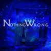 Nothing Wrong - Single