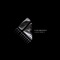 Deathstar Disco - Android Cartel lyrics
