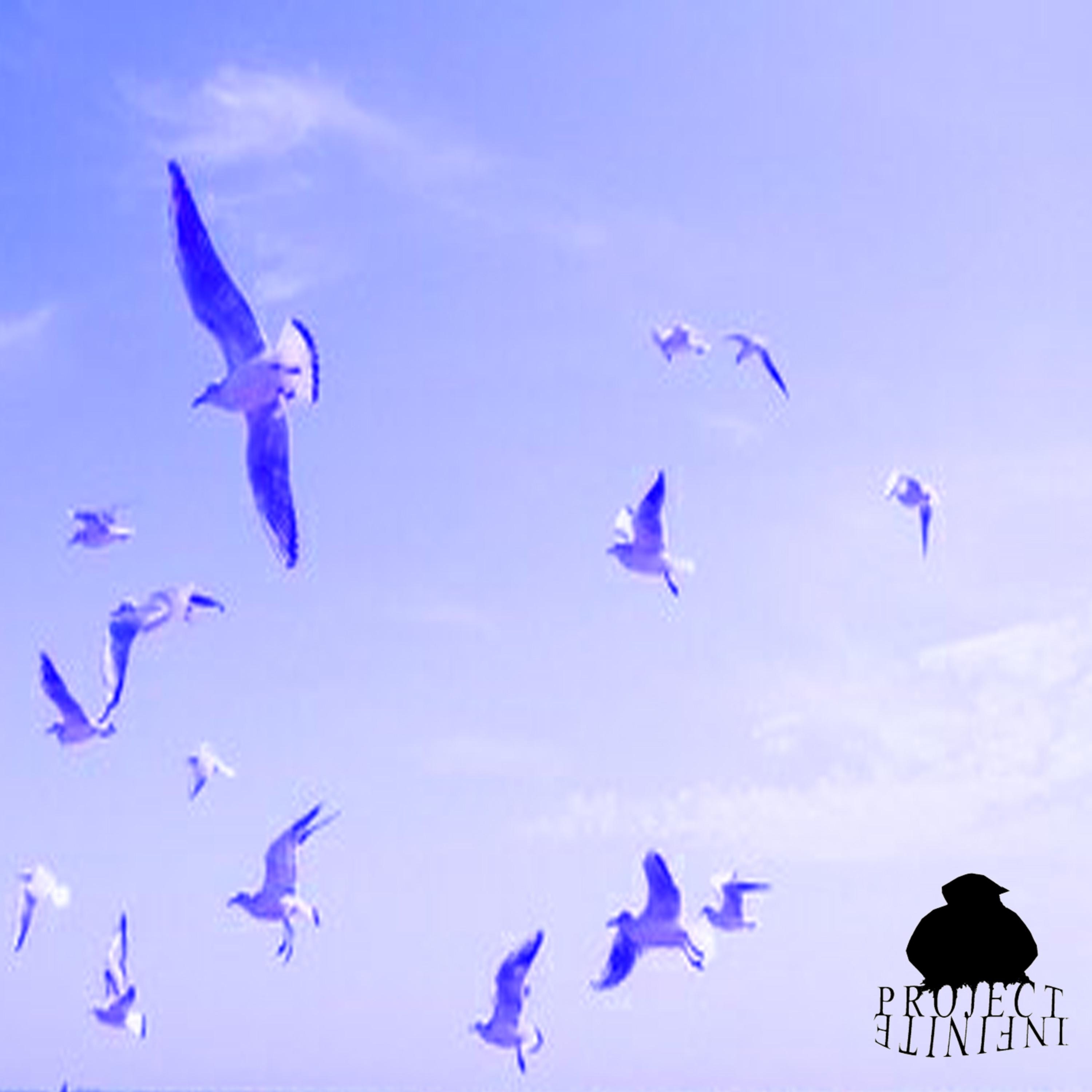 Opposite Ends - Single