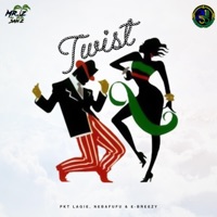 Twist by 255Nation (feat. PKT Lagie, Nebafufu & E-Breezy) - Single - Mr.Tz