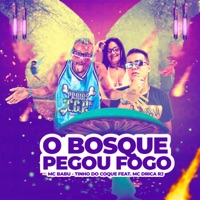 O Bosque Pegou Fogo (feat. Mc Drica RJ) - Single - Tinho do Coque & Mc Babu