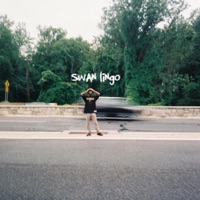 Hurt - Single - Swan Lingo