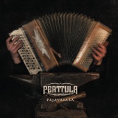 PERTTULA - Hehku