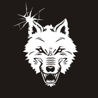 Odraz V Zrcadle - Single - Driss Wolf