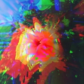 Mind Ya Business (feat. mijaru) Jedwill