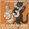 El Gato Negro (feat. Kenny Vaughan) - Funkwrench Blues lyrics