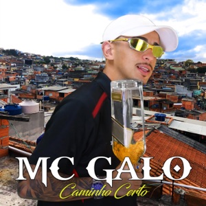 Caminho Certo (feat. DJ Dael)