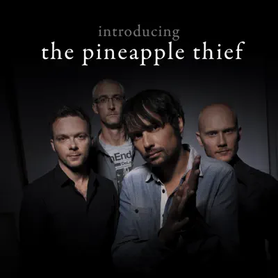 Introducing the Pineapple Thief - The Pineapple Thief