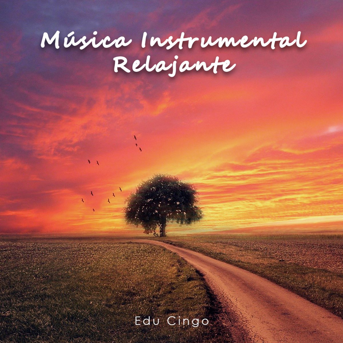 Música Instrumental Relajante - Álbum de Edu Cingo - Apple Music