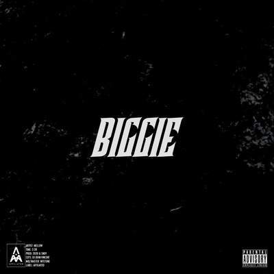 BIGGIE (feat. DJ John Vincent) - Single