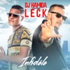 Infidèles (feat. Leck) - Single