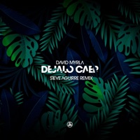Dejalo Caer (Steve Aguirre Remix) - Single - David Myrla