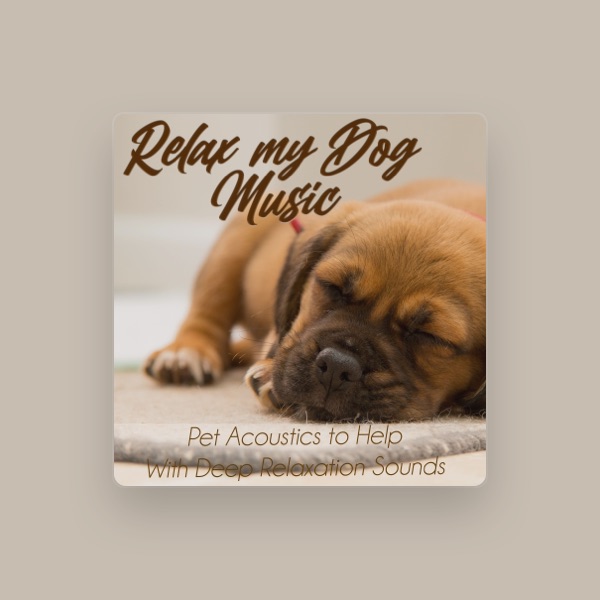 Relax My Dog Music's avatar