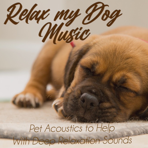 Relax My Dog Music: Pet Acoustics to Help With Deep Relaxation Sounds