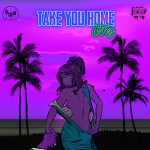 Take You Home