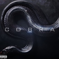 Cobra - Single - Dduck